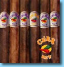Cuba Hot!