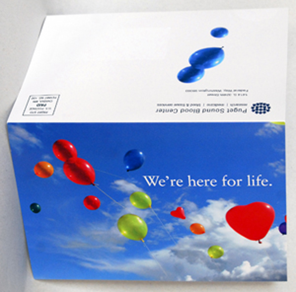 Album Sleeve